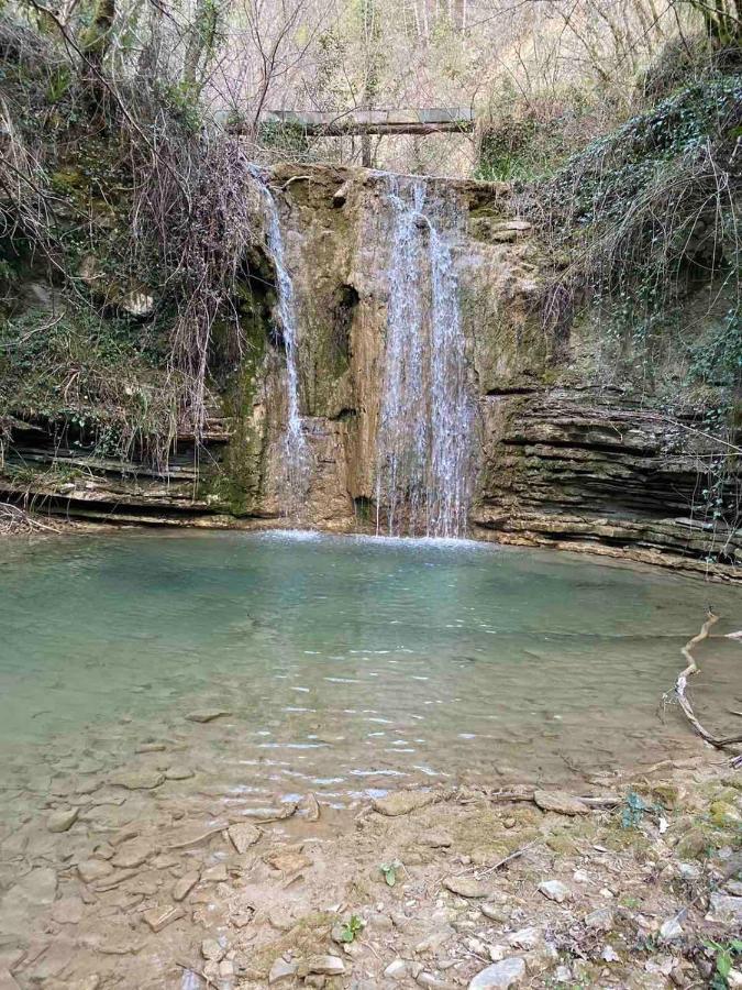 App Lidia Appartement Grožnjan Buitenkant foto